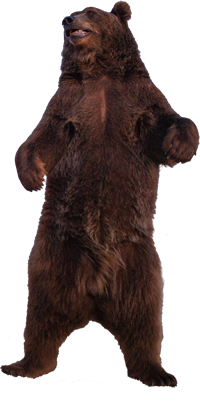 Brutus