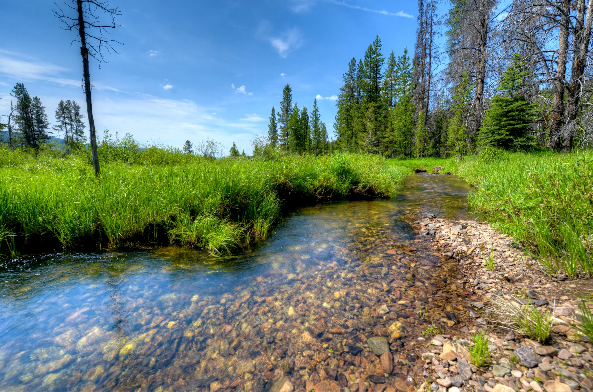 Willow Creek Hunting Camp