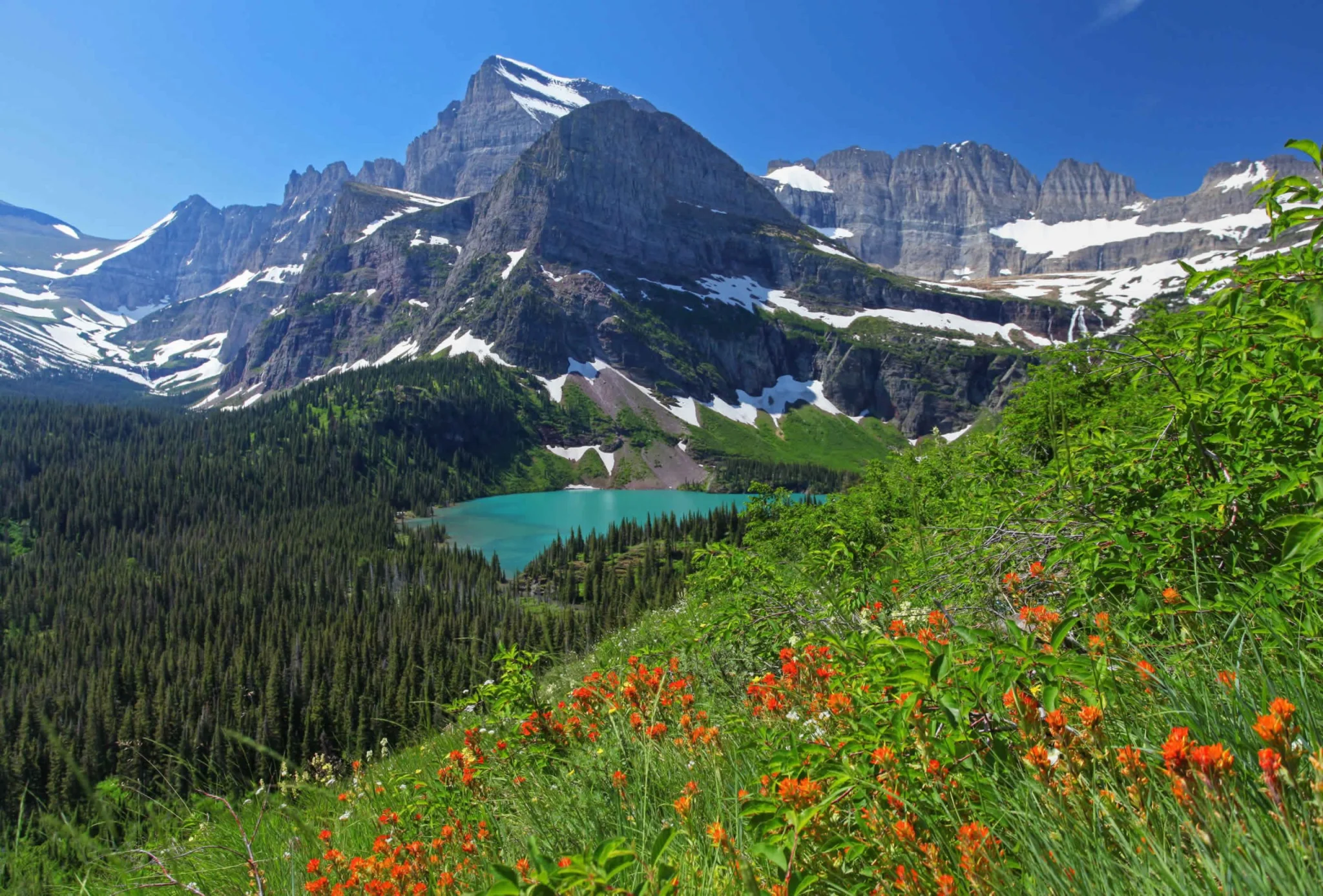 Montana Photo